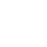 Patrocinador: LIONS